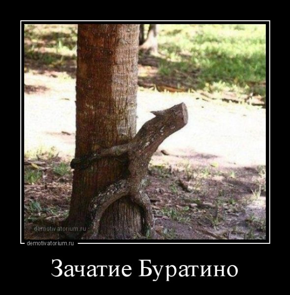 Зачатие Буратино