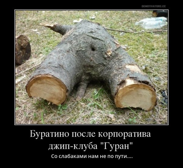 Бревно прикол