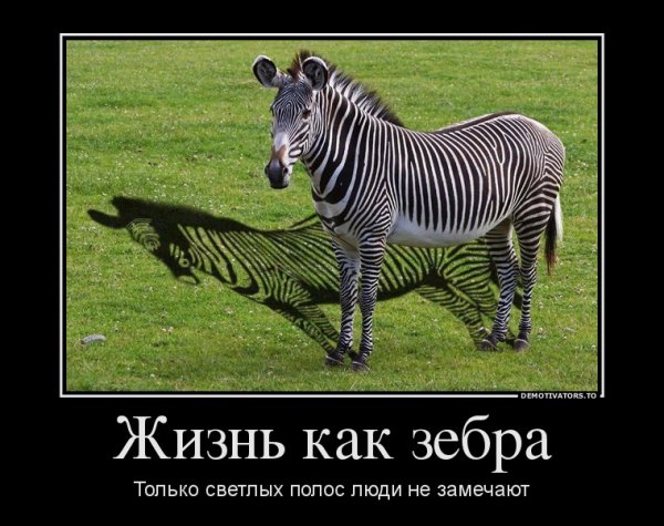 Классические демотиваторы