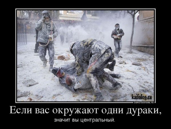 Демотиваторы про дураков