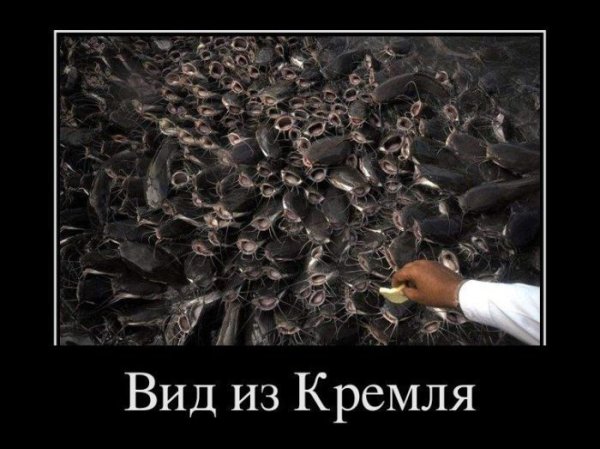 Чернейший юмор демотиваторы