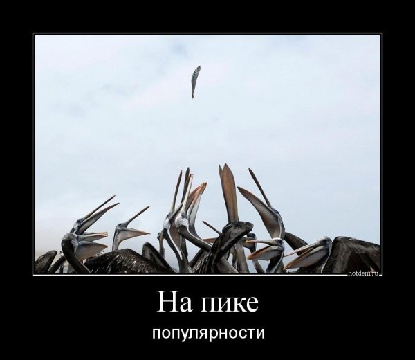 Популярность прикол