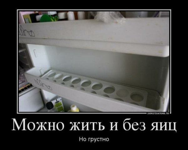 Жить без яиц демотиваторы