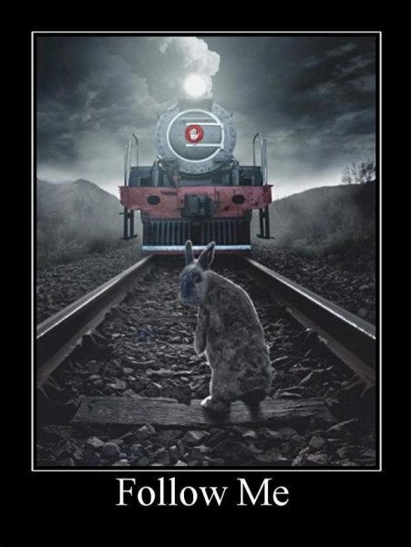 Follow me демотиватор