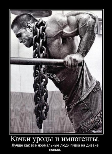 Качки демотиваторы