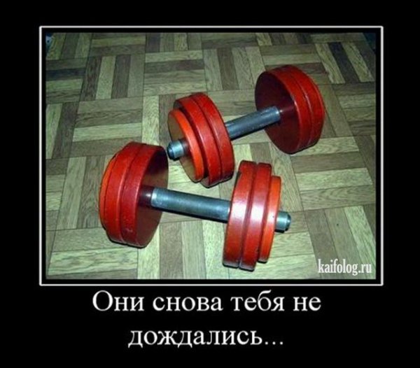 Мотиваторы для спорта смешные