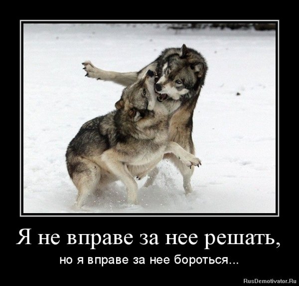 Волки мотиваторы