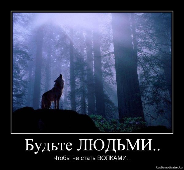 Волк мотиватор