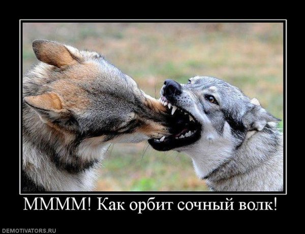 Демотиваторы про Волков