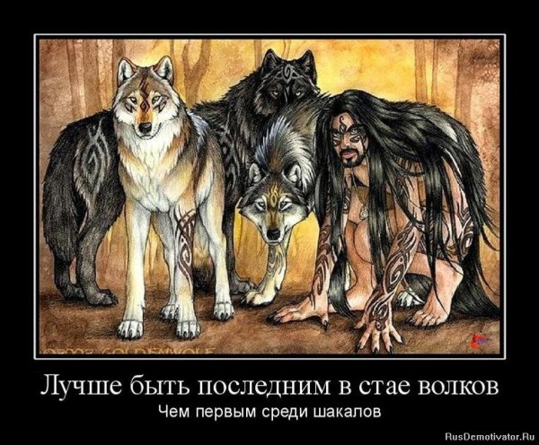 Лучше быть последним среди Волков