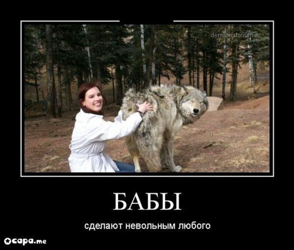 Волк демотиватор