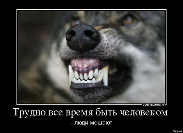 Демотиватор очень злой