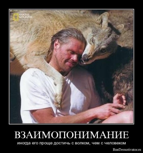 Человек человеку волк демотиватор