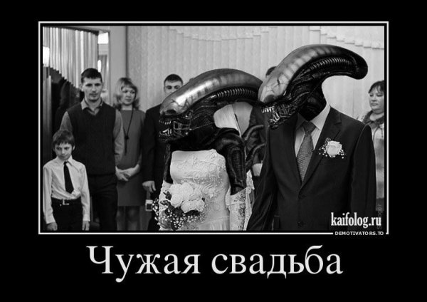 Чужая свадьба