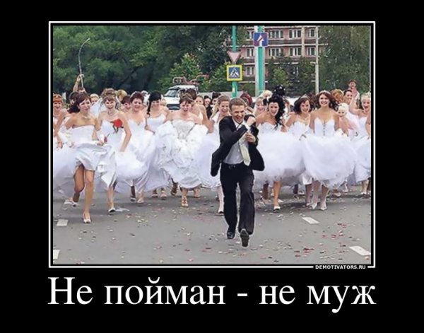 Шутки про свадьбу