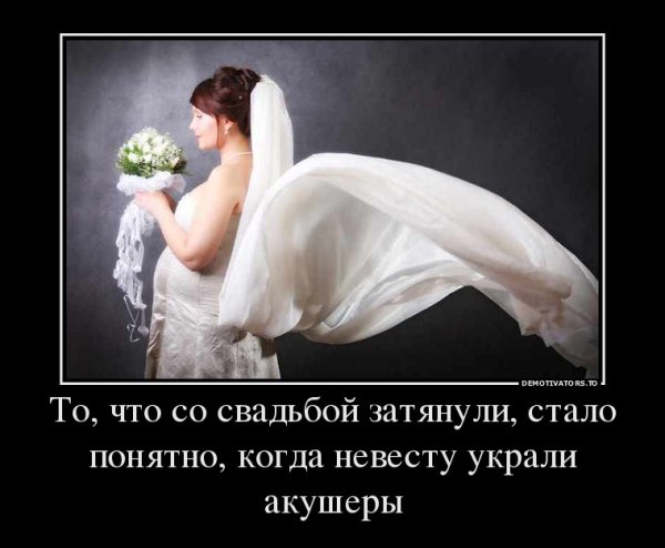 Афоризмы про невесту