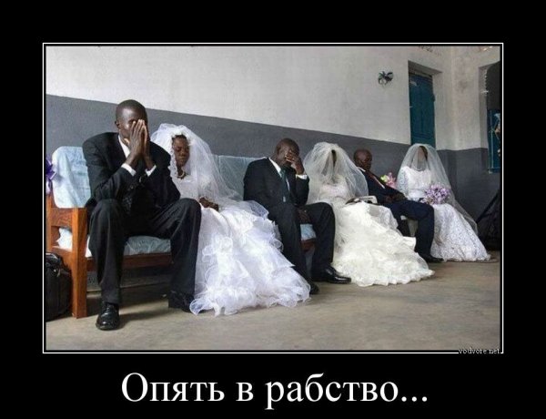 Приколы про женитьбу