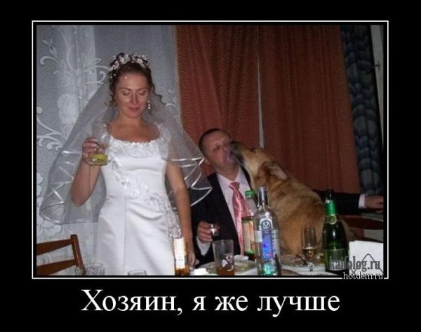 Прикольные Свадебные демотиваторы