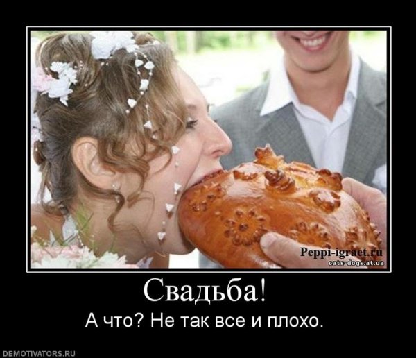 Свадьба глазами тещи