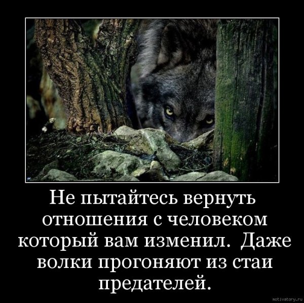 Демотиваторы о предательстве близких людей