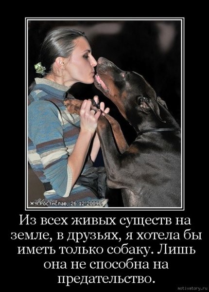 Демотиваторы про преданность