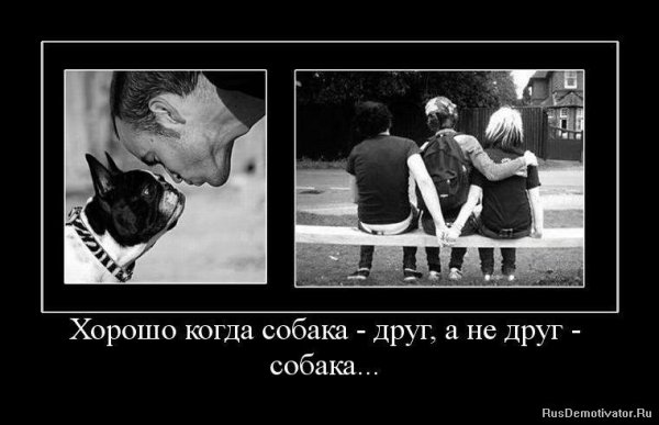 Приколы про измену мужа