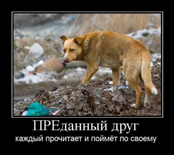 Демотиваторы про предательство