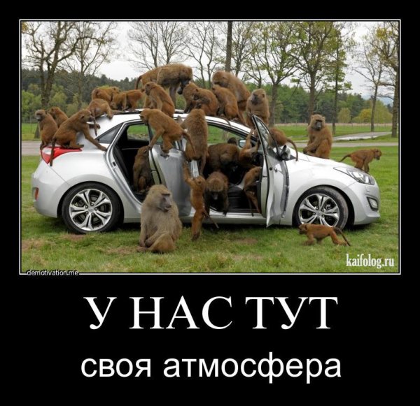 Демотиваторы авто