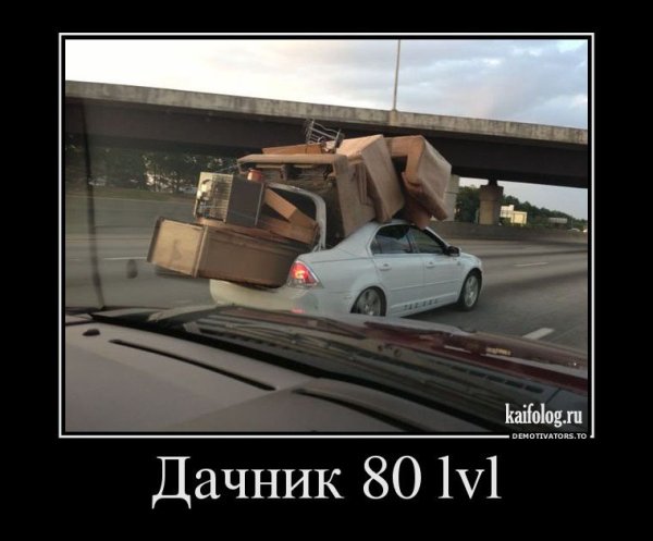 Демотиваторы с животными смешные