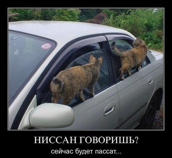 Демотиваторы про машины