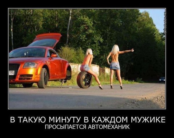 Демотиваторы про машины