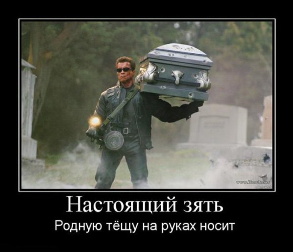 Теща и зять демотиваторы