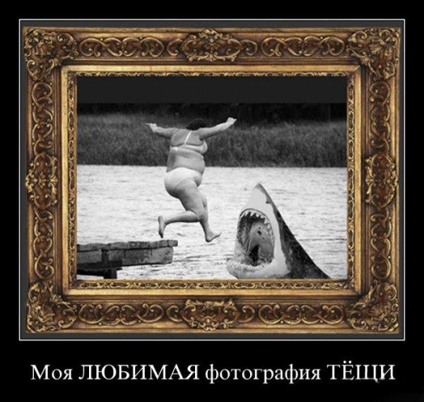 Демотиваторы про тещу