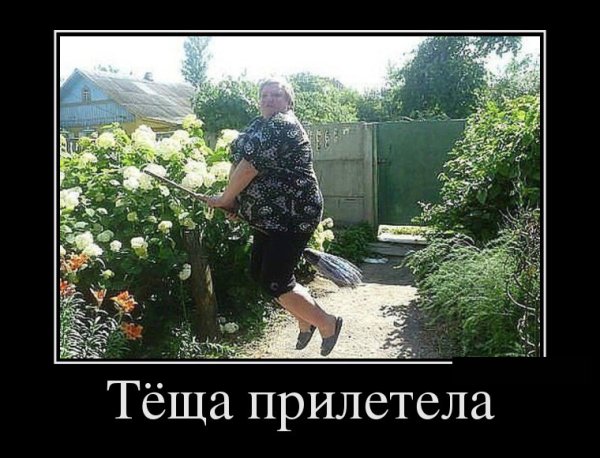 Демотиваторы про зятя