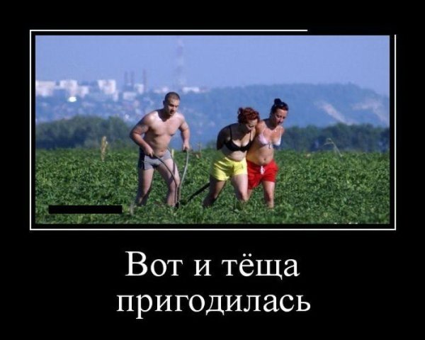 Тёща картинки прикольные