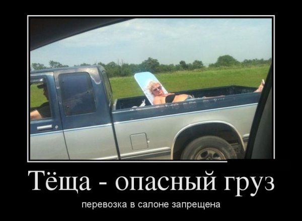 Демотиваторы про тещу