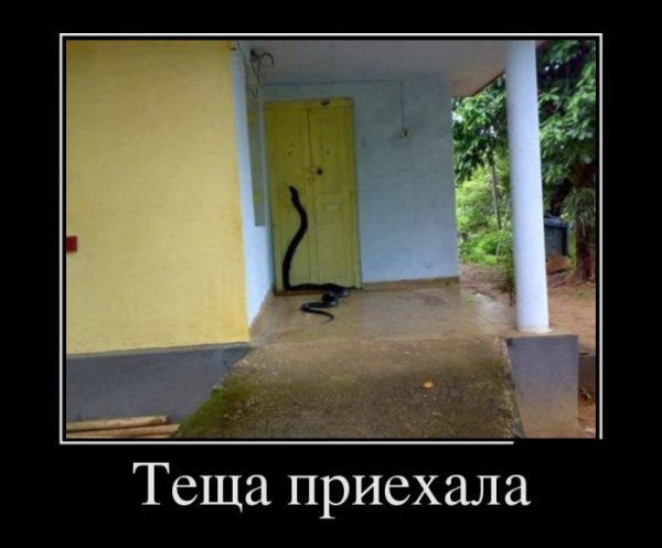 Демотиваторы про тещу