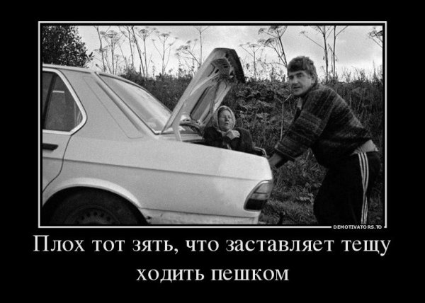 Демотиваторы про тещу