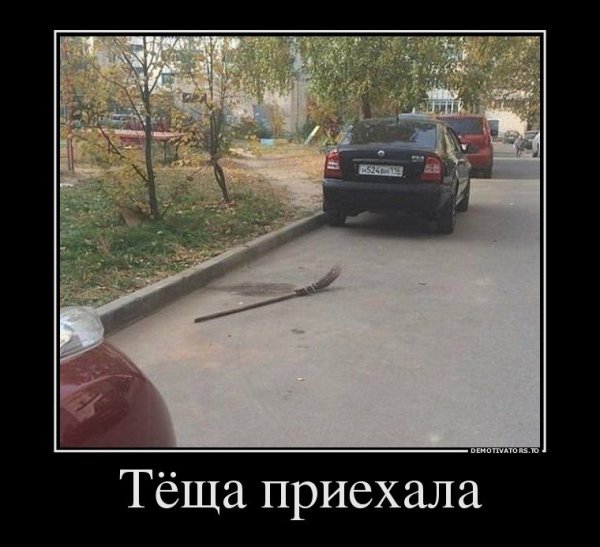 Демотиваторы про тещу