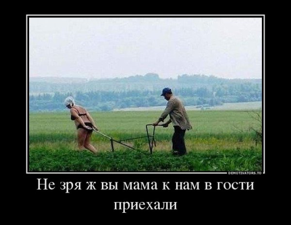 Приколы про тещу
