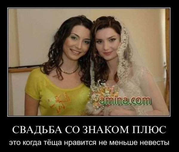Демотиваторы про тещу