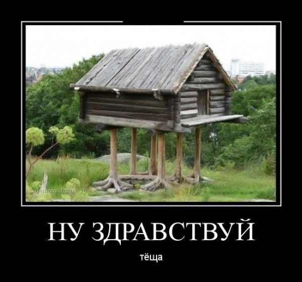 Демотиваторы про тещу
