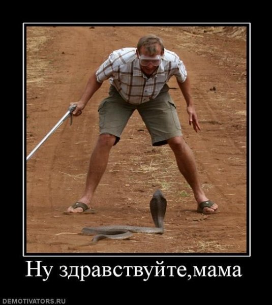 Демотиваторы про зятя