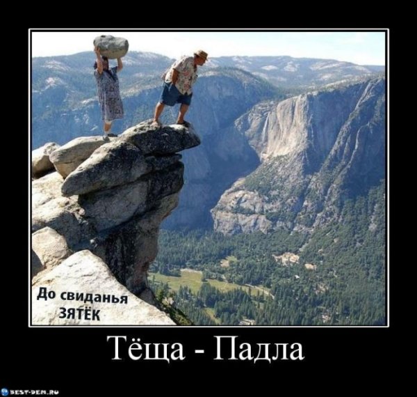 Демотиваторы про тещу