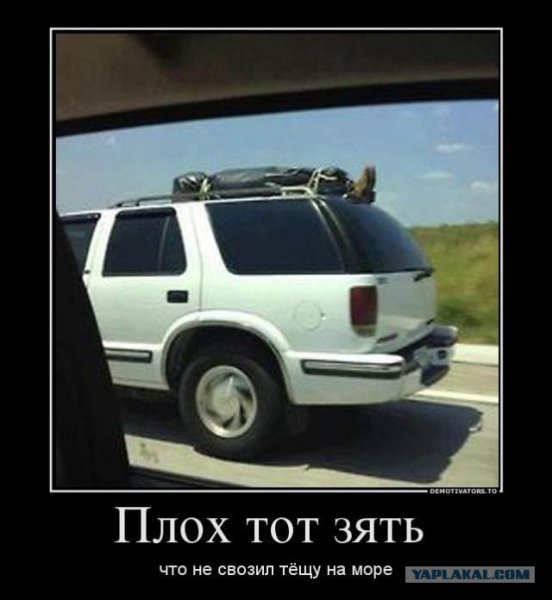 Приколы про тещу
