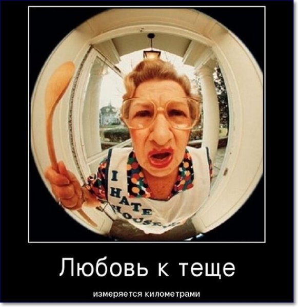 Демотиваторы про тещу