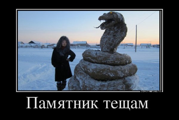 Тёща картинки прикольные
