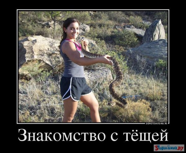 Глазами тещи
