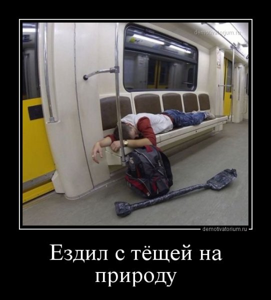Теща приехала картинки