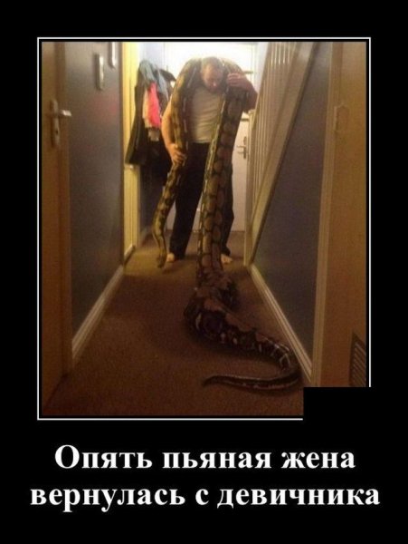 Теща приехала